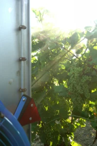 RETRAIT DU MARCHÉ DES PRODUITS À BASE DE MANCOZÈBE