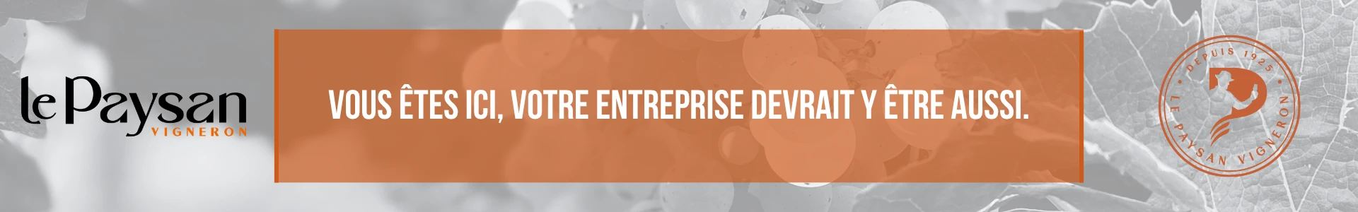 Bannière sponsorisée