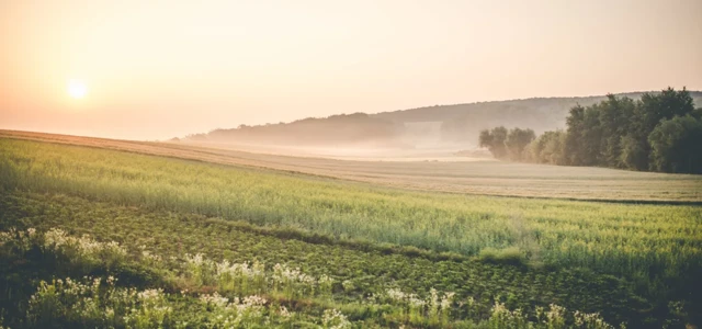 La Région Nouvelle-Aquitaine et la Fondation du patrimoine s'engagent pour la "NAture"