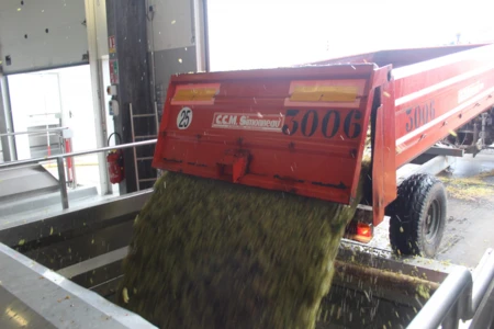 Lundi 11 octobre : ouverture des déclarations de récolte du millésime 2021