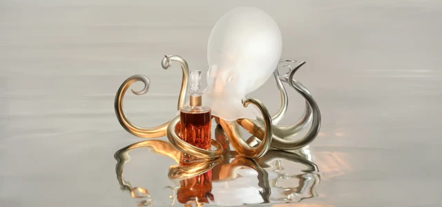 Camus plonge avec sa nouvelle création