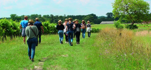 Les groupes Viti’Tech, ou la lutte raisonnée en Charente-Maritime