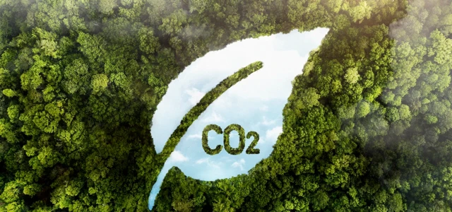 Crédits carbone : mieux mesurer les impacts pour plus de crédibilité