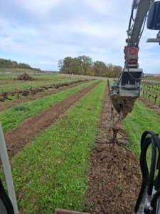 Plan d’arrachage FranceAgriMer : faute de grives, les charentais devront manger des merles