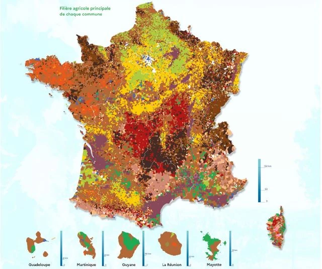 Recensement agricole 2020 : les premiers résultats provisoires 1/3 (abonnés)