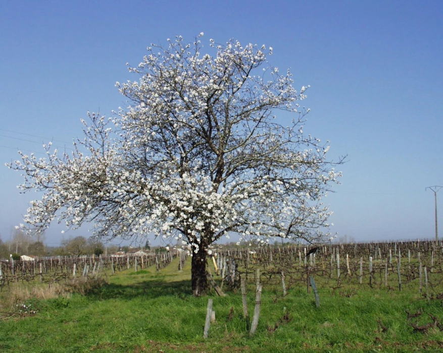 GEL AVRIL 2021 : MISE EN PLACE D'UN FONDS D'URGENCE JUSQU'AU 30 JUIN POUR LES ENTREPRISES LES PLUS T...