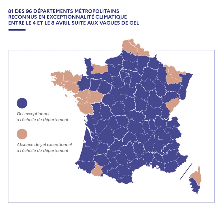 LE « PLAN GEL » ACTÉ AU CONSEIL DES MINISTRES : LES DISPOSITIFS DE SOUTIEN AUX AGRICULTEURS ET ENTRE...