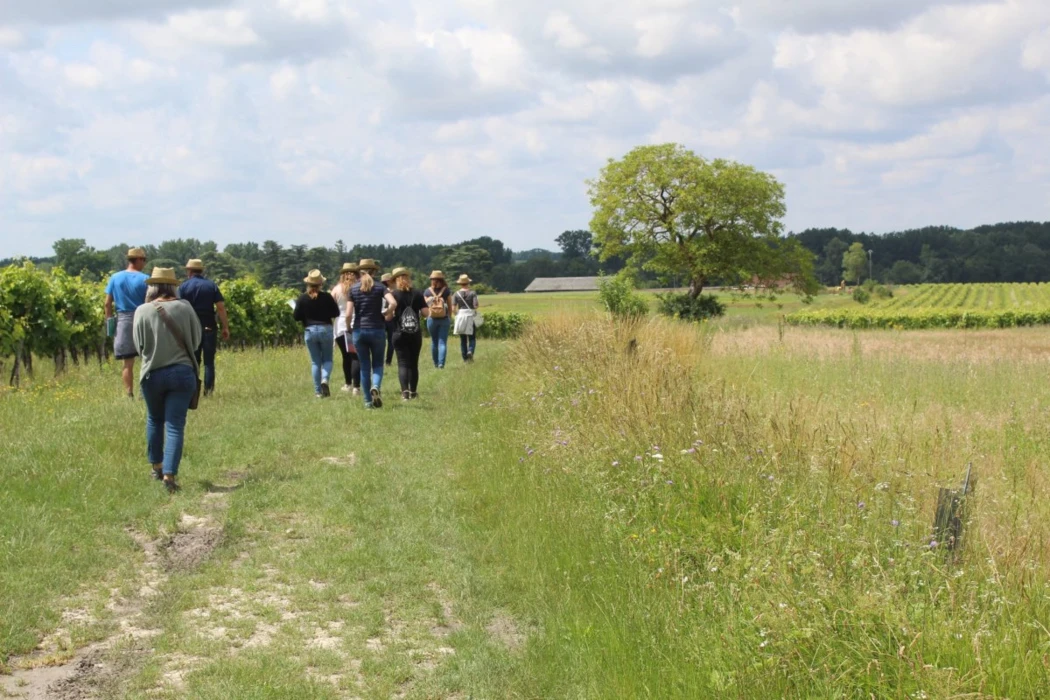 Recensement agricole 2020 : les premiers résultats provisoires 2/3 (abonnés)