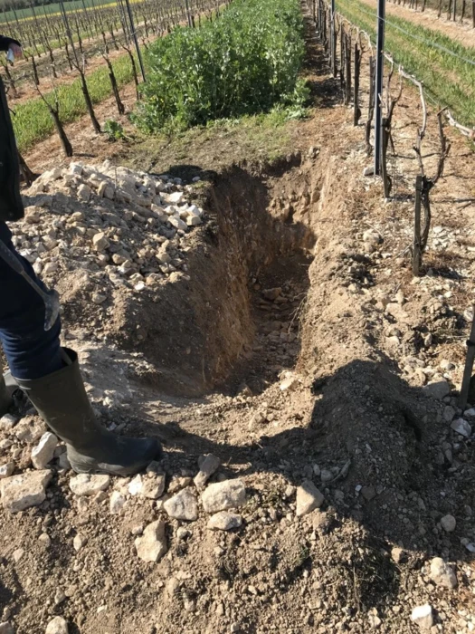 ÉTUDE DE FOSSES PÉDOLOGIQUES PAR LA CHAMBRE D’AGRICULTURE DE CHARENTE-MARITIME LE 22 MARS