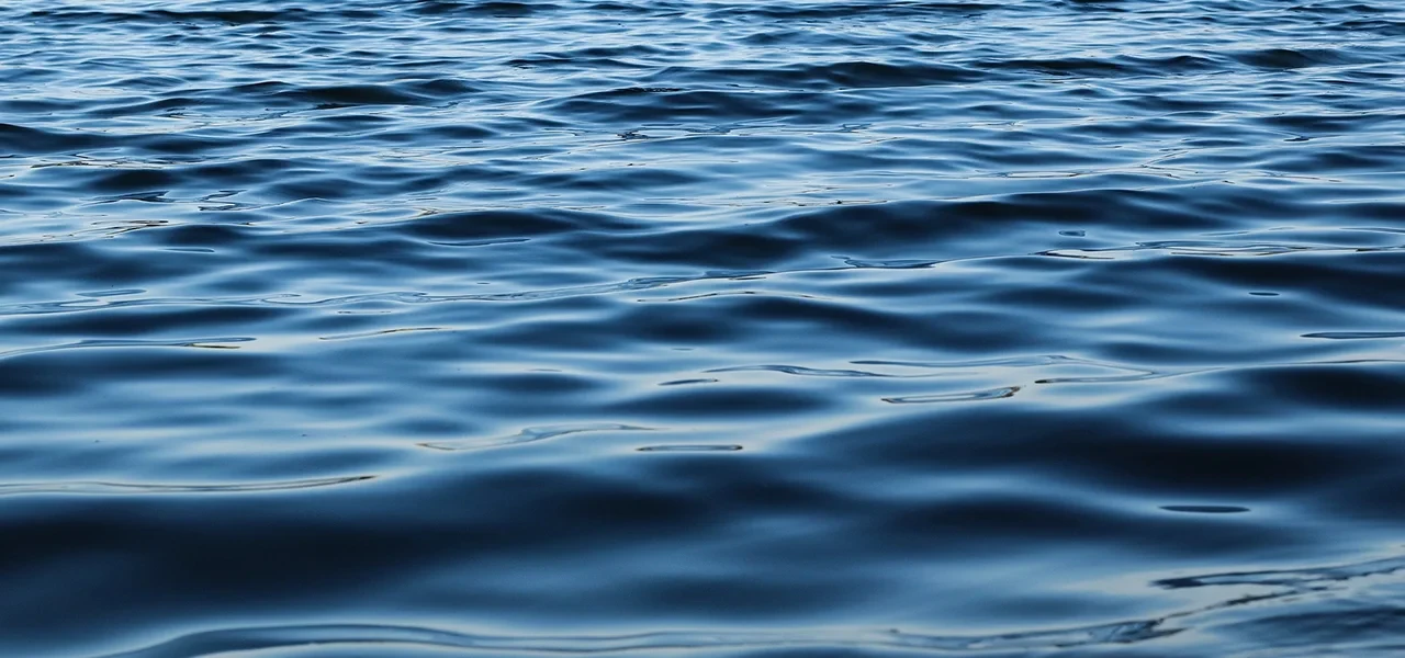 Méga-bassines : entre gestion de l’eau et tensions sociales