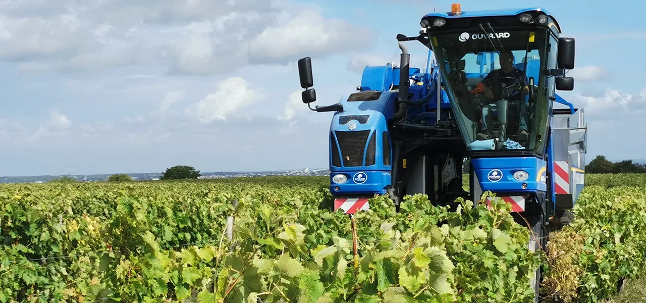 WEBINAIRE TECHNIQUE – BNIC VENDANGES VINIFICATION 2025