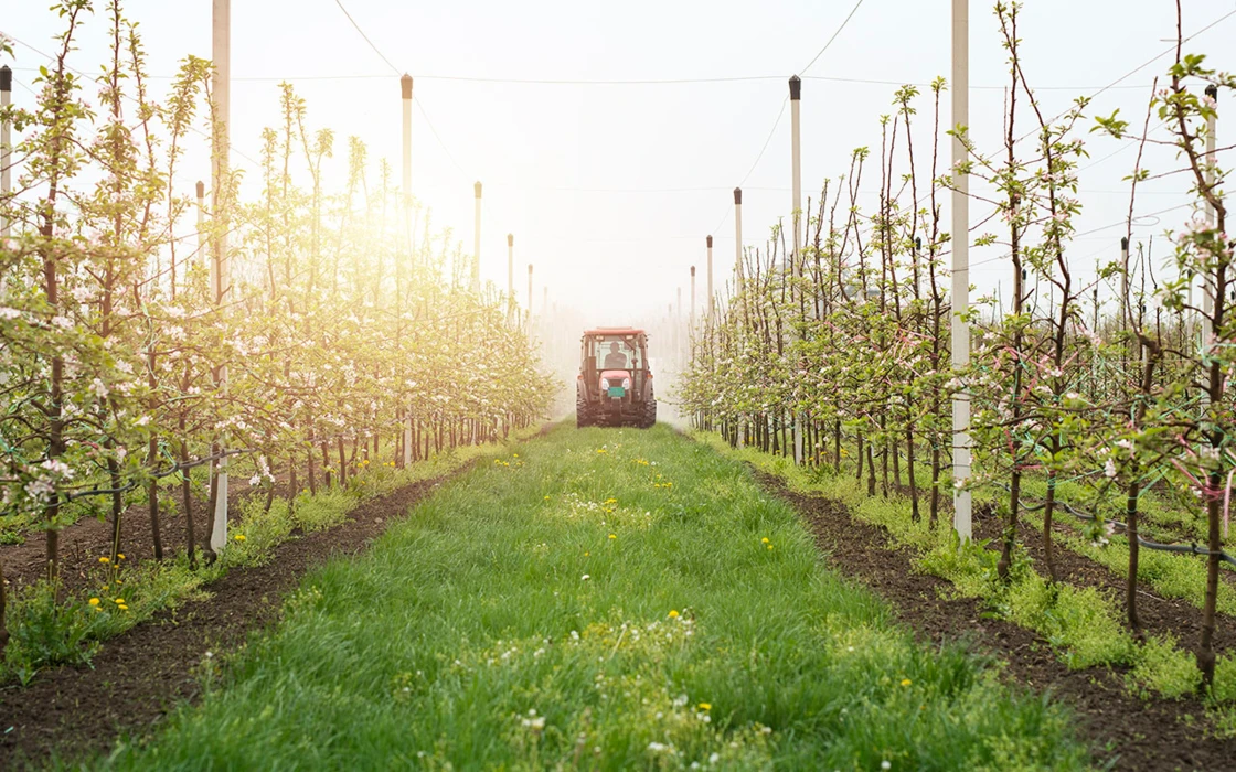 Impact des produits phytopharmaceutiques sur la biodiversité: des résultats significatifs