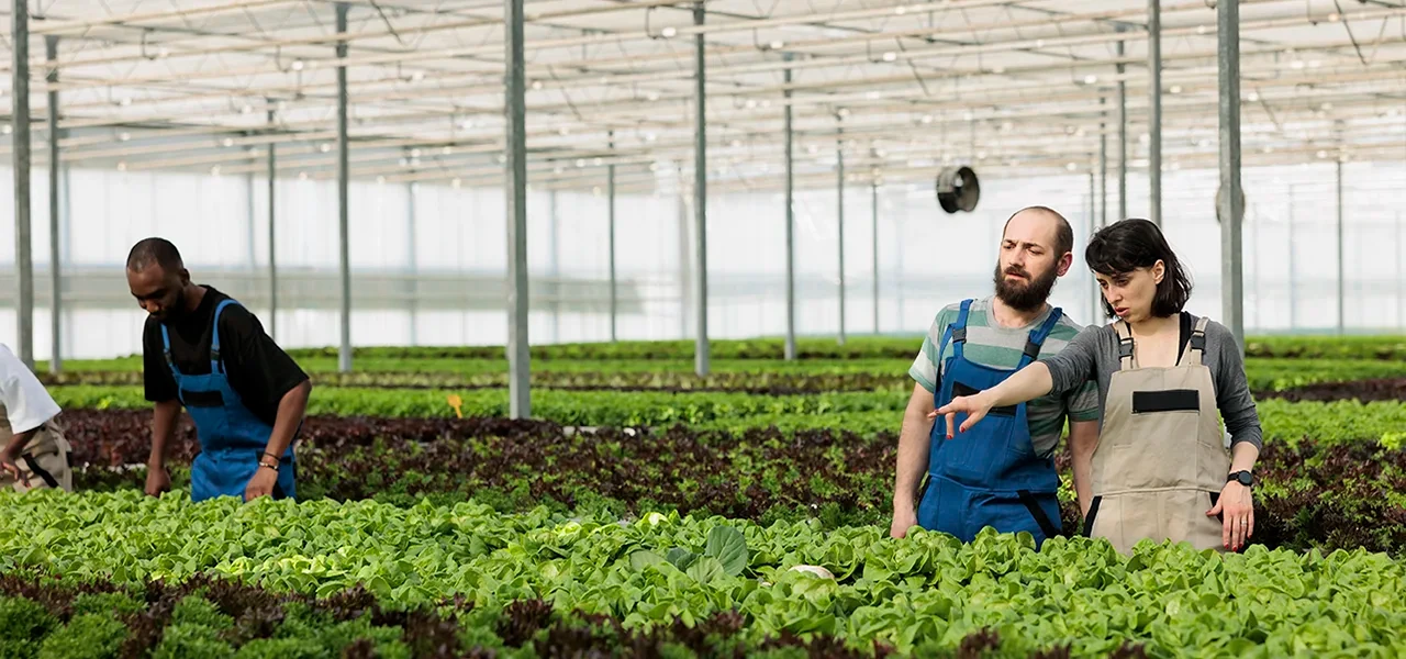 Un amendement menace l’avenir de l’Agence Bio