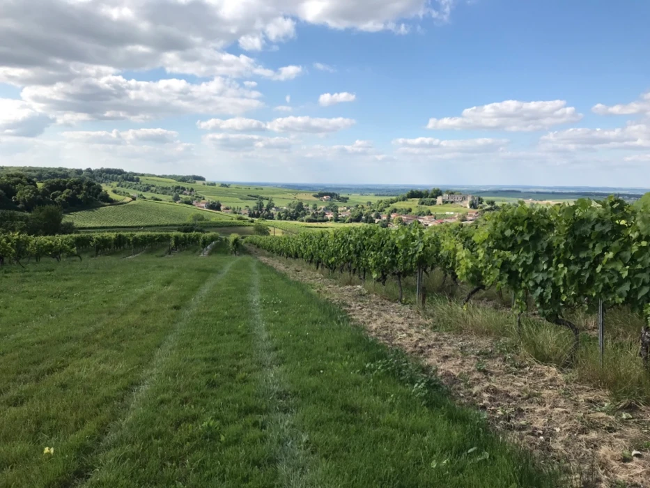 Le programme national de développement agricole et rural (PNDAR) 2022 - 2027 du ministère de l'Agric...