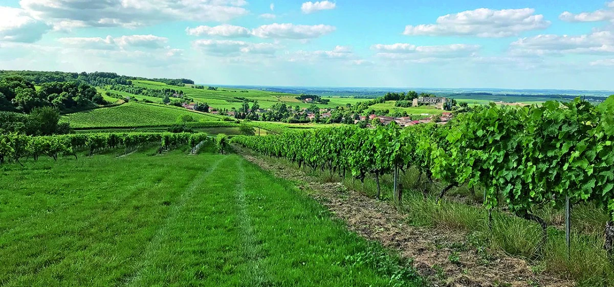 La réunion de secteur digitale de l’UGVC