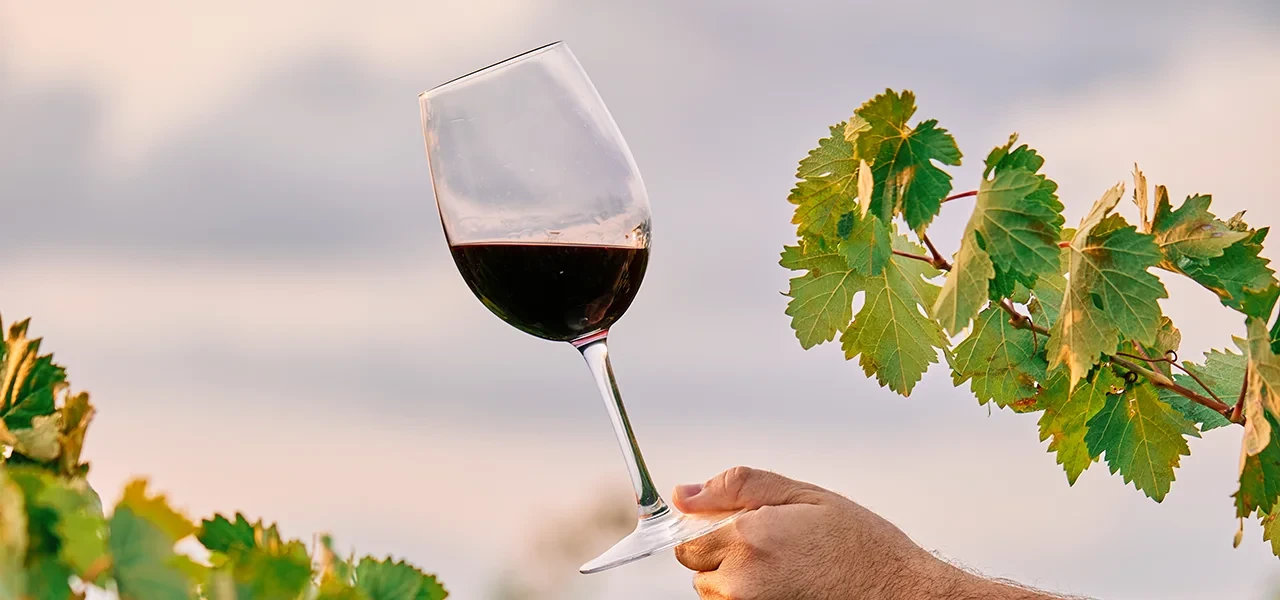 Le vin, un incontournable du Salon de l'Agriculture