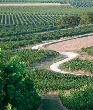Luc Servant à l’ouvrage pour l’agriculture régionale