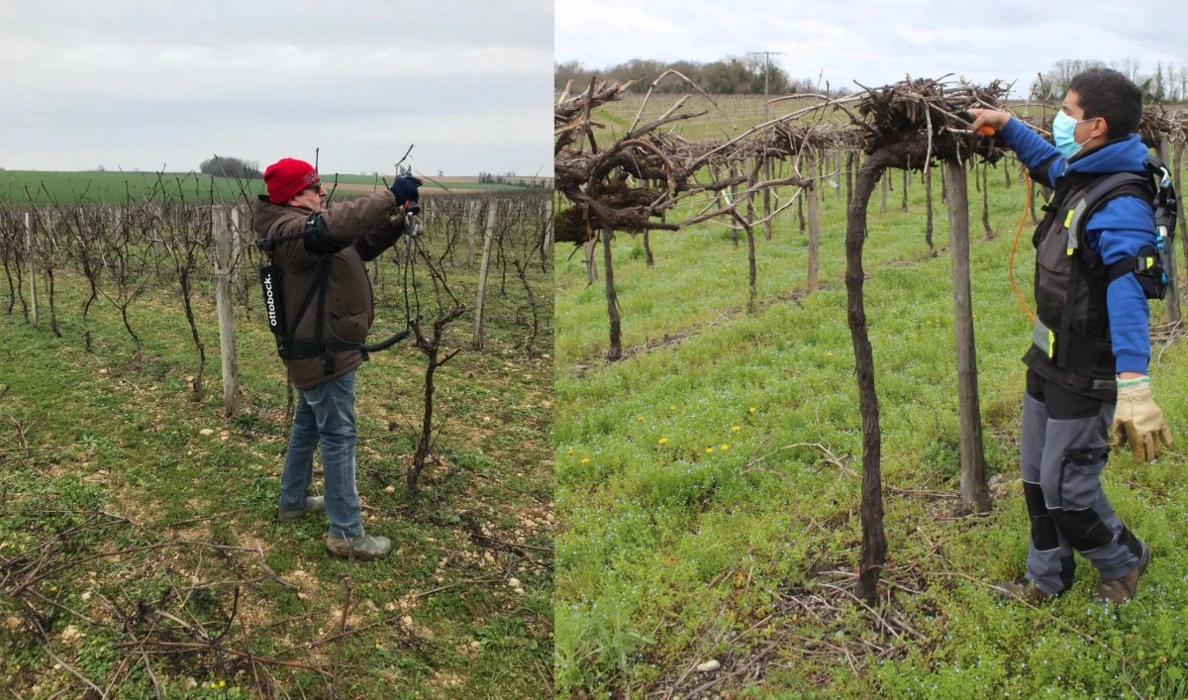 L'EXOSQUELETTE S'INSCRIT DANS LE PAYSAGE CHARENTAIS