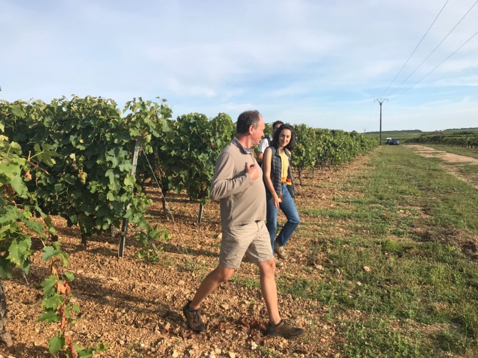 FLAVESCENCE DORÉE : LA PROSPECTION EN PHOTOS