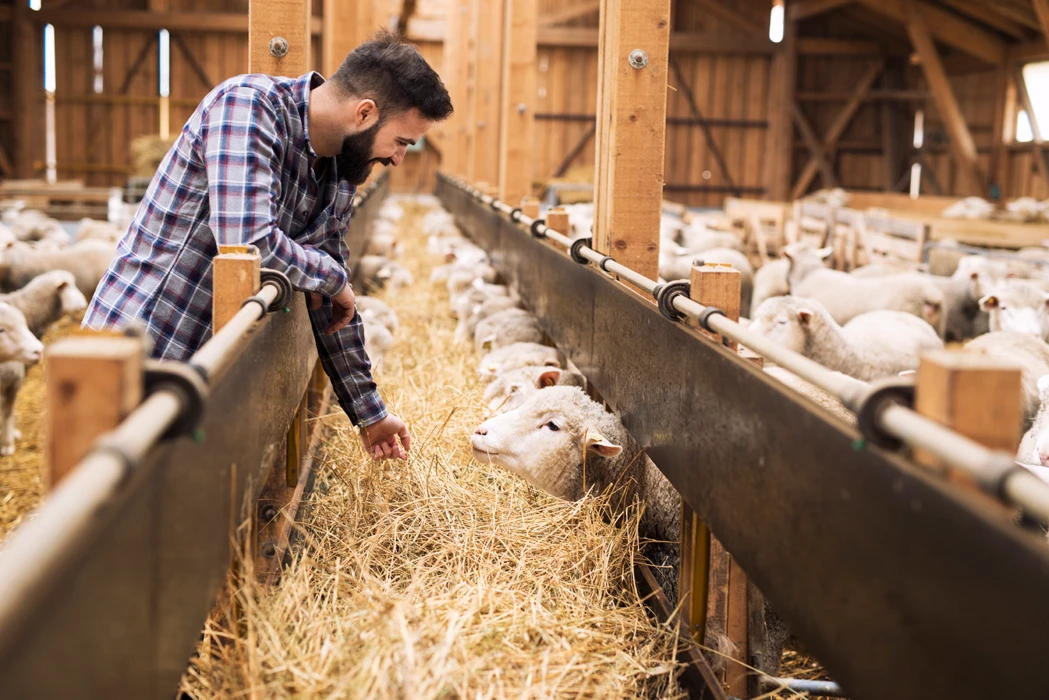 Au Salon de l’Agriculture 2026, FEVE met en avant le rôle de l’épargne citoyenne dans la transmission des fermes en Nouvelle-Aquitaine