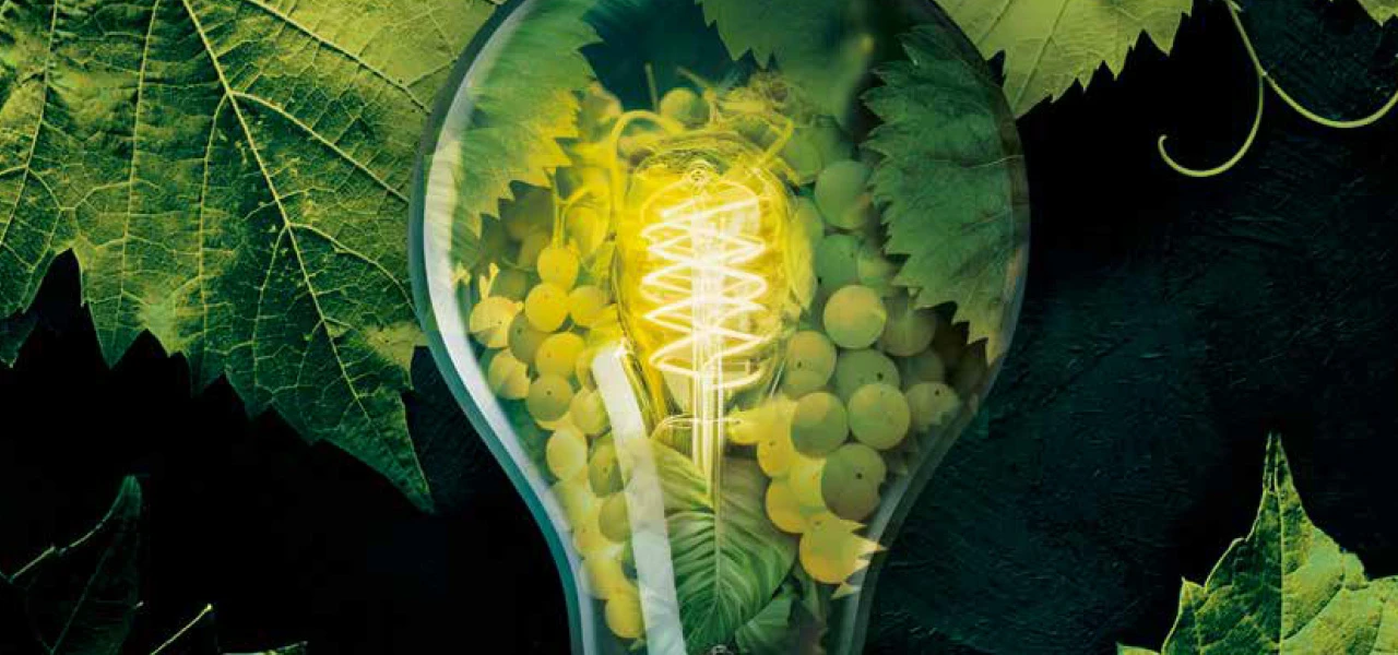 “Le climat c’est ce à quoi on s’attend, la météo c’est ce que nous obtenons.”