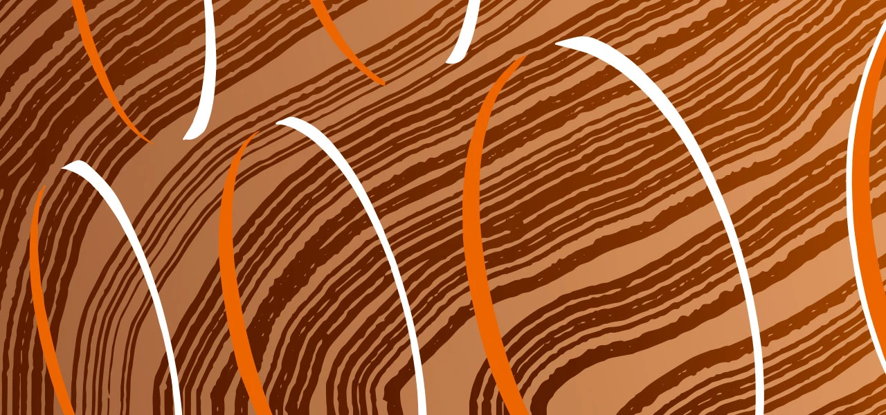 Un monde de mouvements et de mutations