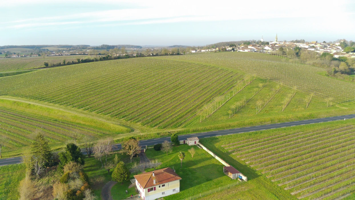 2025, des résultats techniques au sommet pour les Fermes DEPHY 17 en Viticulture