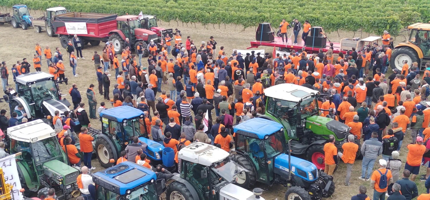 Respect des contrats : la filière Cognac cherche l’équilibre entre fermeté et dialogue