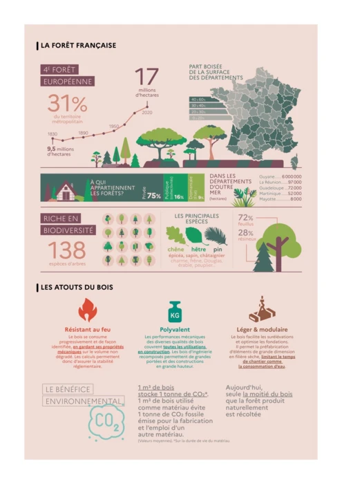 Les assises du bois et de la forêt lancées le 19 octobre 2021