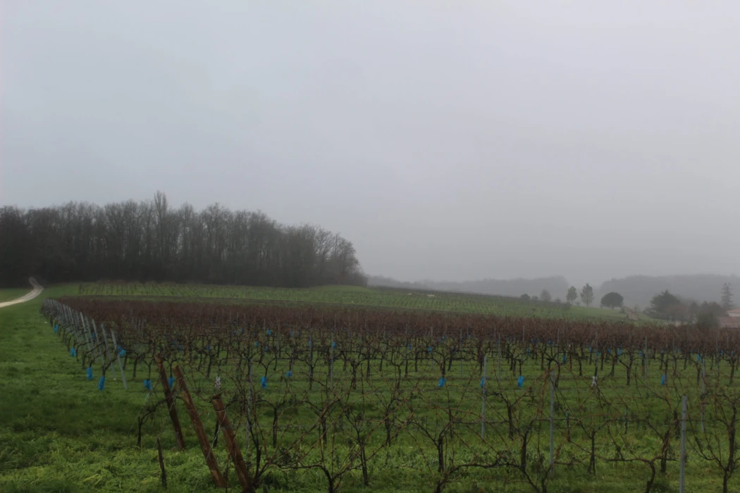 Site Remarquable du Goût : la 7ème édition du salon programmée ce week-end !