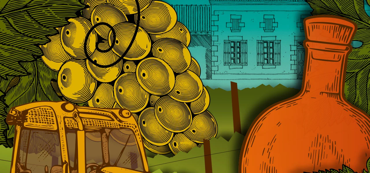 La goutte de vin qui fait déborder le chai